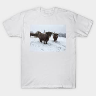 Scottish Highland Cattle Cows 1940 T-Shirt